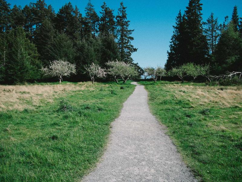 Top 15 Shortcuts every Training Expert needs