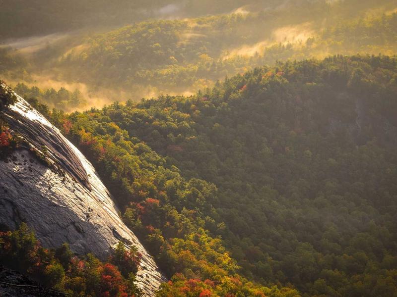 The Shortcuts every Growth Expert should know