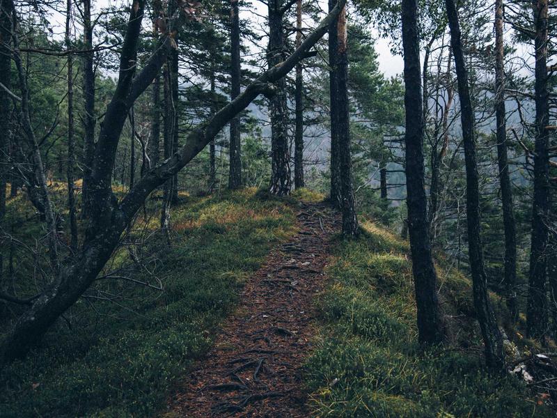 Why Quality is changing Travel Right Now
